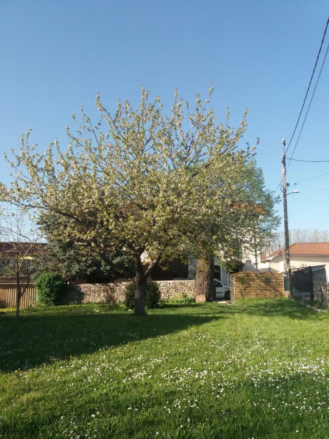 Villa Les Copains D'Abord Beaucroissant Esterno foto