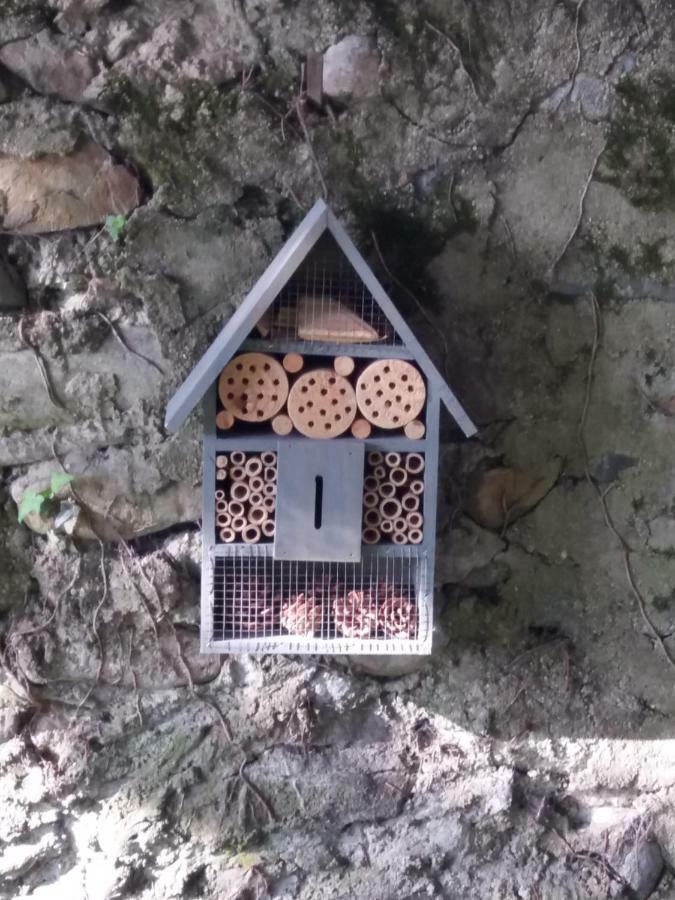 Villa Les Copains D'Abord Beaucroissant Esterno foto